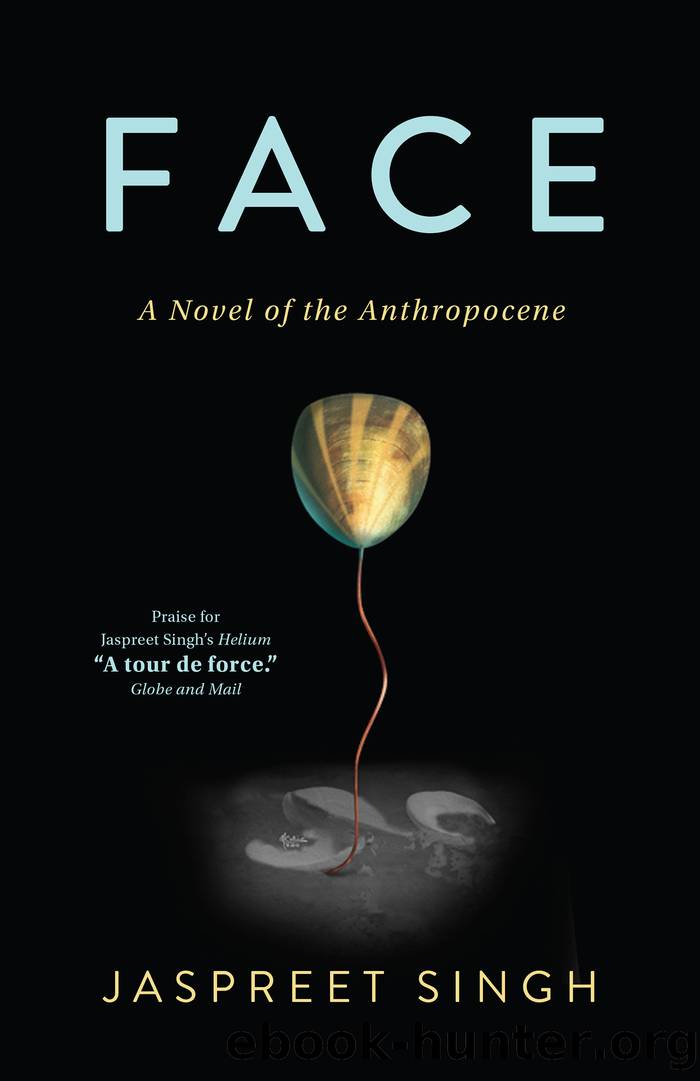 Face by Jaspreet Singh