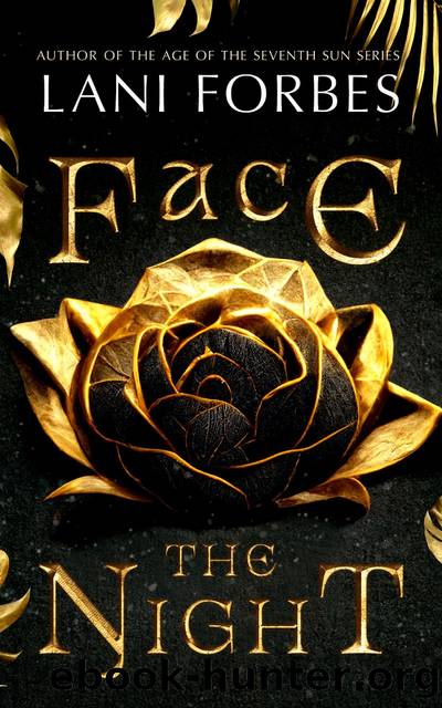Face the Night by Lani Forbes