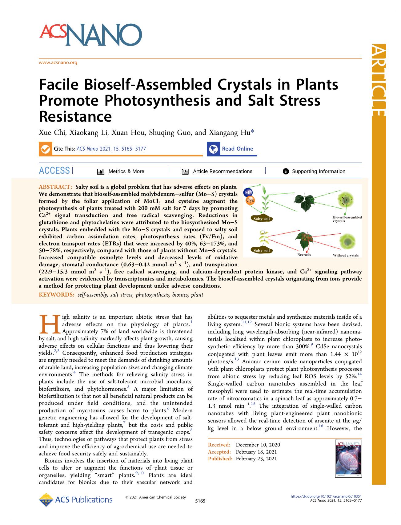 Facile Bioself-Assembled Crystals in Plants Promote Photosynthesis and Salt Stress Resistance by Xue Chi Xiaokang Li Xuan Hou Shuqing Guo and Xiangang Hu