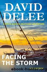 Facing the Storm by David DeLee
