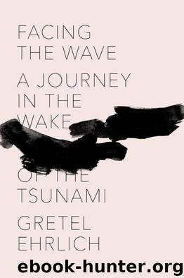 Facing the Wave by Gretel Ehrlich