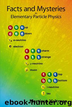 Facts and Mysteries in Elementary Particle Physics by Martinus J. G. Veltman