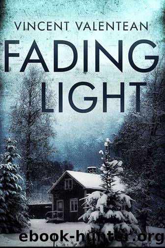 Fading Light by Valentean Vincent