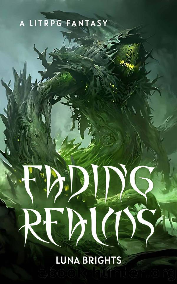 Fading Realms: A LitRPG Fantasy by Luna Brights