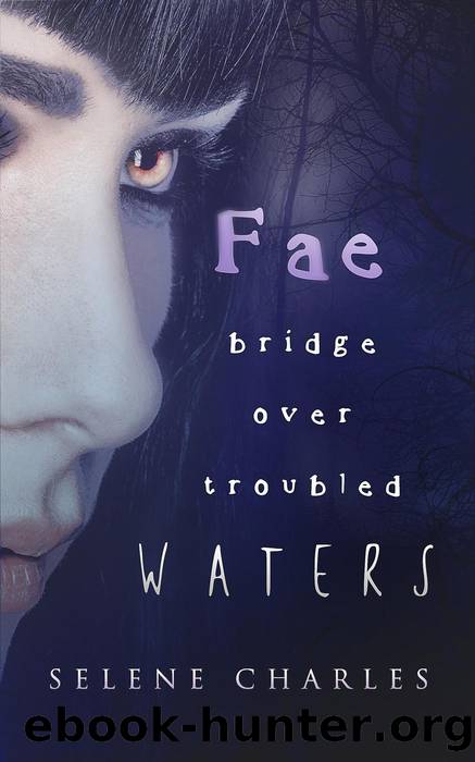 Fae Bridge Over Troubled Waters by Selene Charles