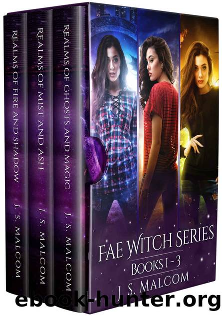 Fae Witch Chronicles Books 1 - 3 by J.S. Malcom