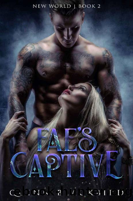 Fae's Captive (A Dark Paranormal Romance): Enemies-to-Lovers (Dark Fae: Black World Book 2) by Quinn Blackbird