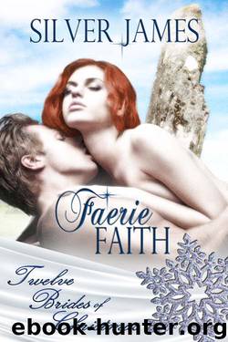 Faerie Faith by Silver James