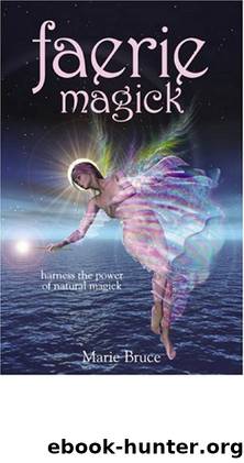 Faerie Magick by Marie Bruce