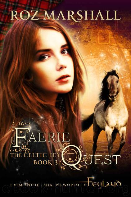 Faerie Quest: A Feyland Urban Fantasy Tale (The Celtic Fey Book 3) by Roz Marshall