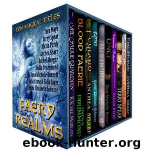 Faery Realms: Ten Magical Titles: Multi-Author Bundle of Novels & Novellas by unknow