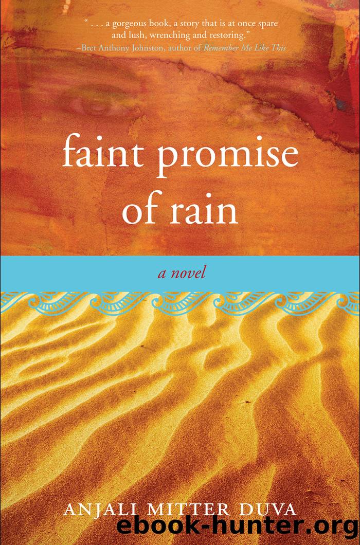 Faint Promise of Rain by Anjali Mitter Duva