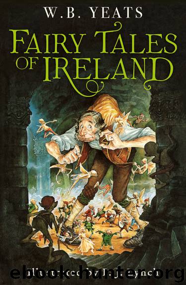 Fairy Tales of Ireland by W. B. Yeats