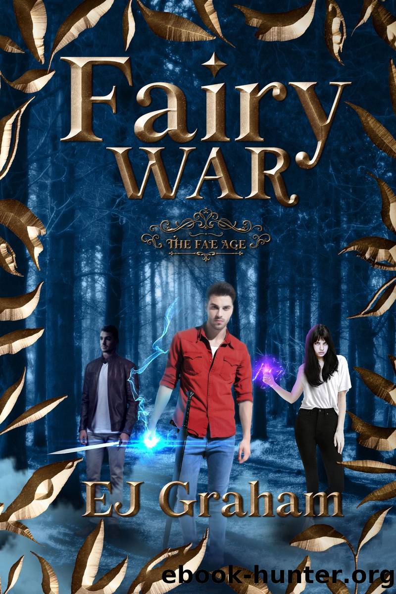 Fairy War by E.J. Graham
