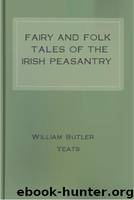 Fairy and Folk Tales of the Irish Peasantry by William Butler Yeats