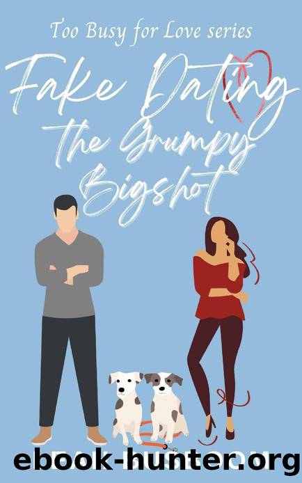 Fake Dating the Grumpy Bigshot: A Sweet Rom Com (Too Busy for Love Book 4) by Leah Busboom