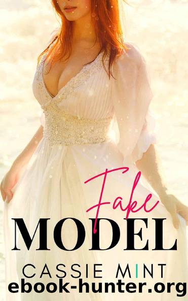 Fake Model (Twin Swap Book 3) by Cassie Mint