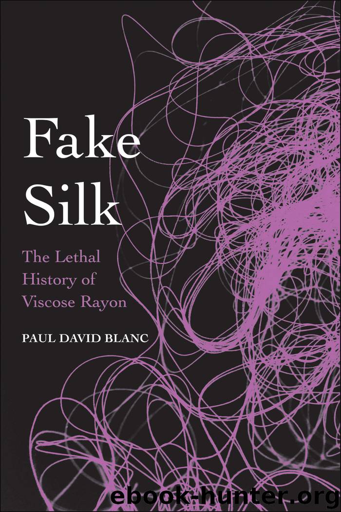 Fake Silk by Paul David Blanc