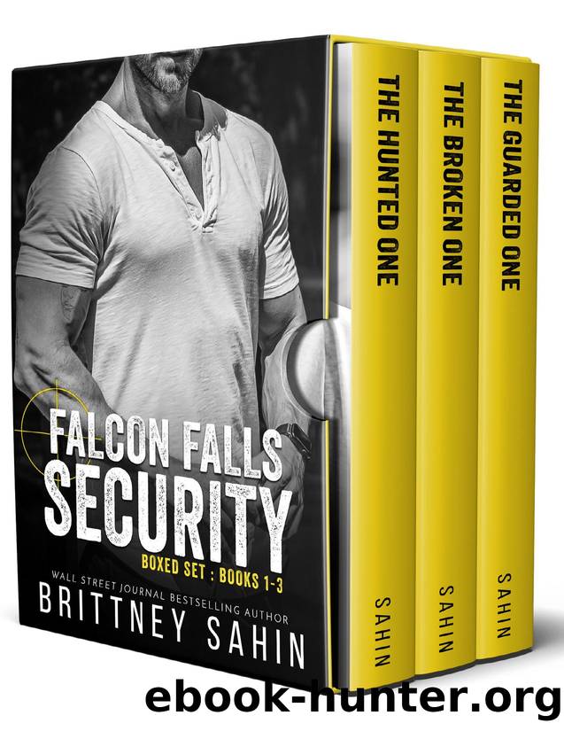 Falcon Falls Security Boxed Set: Books 1-3 by Brittney Sahin