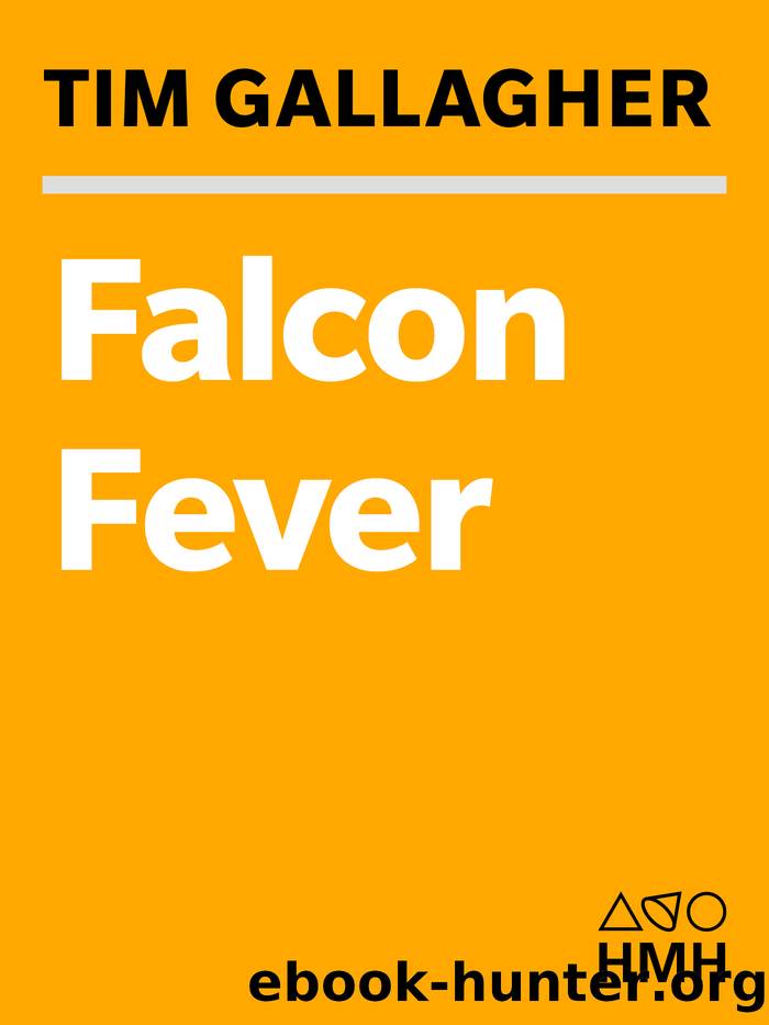 Falcon Fever by Tim Gallagher