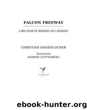 Falcon Freeway by Christian Hagenlocher