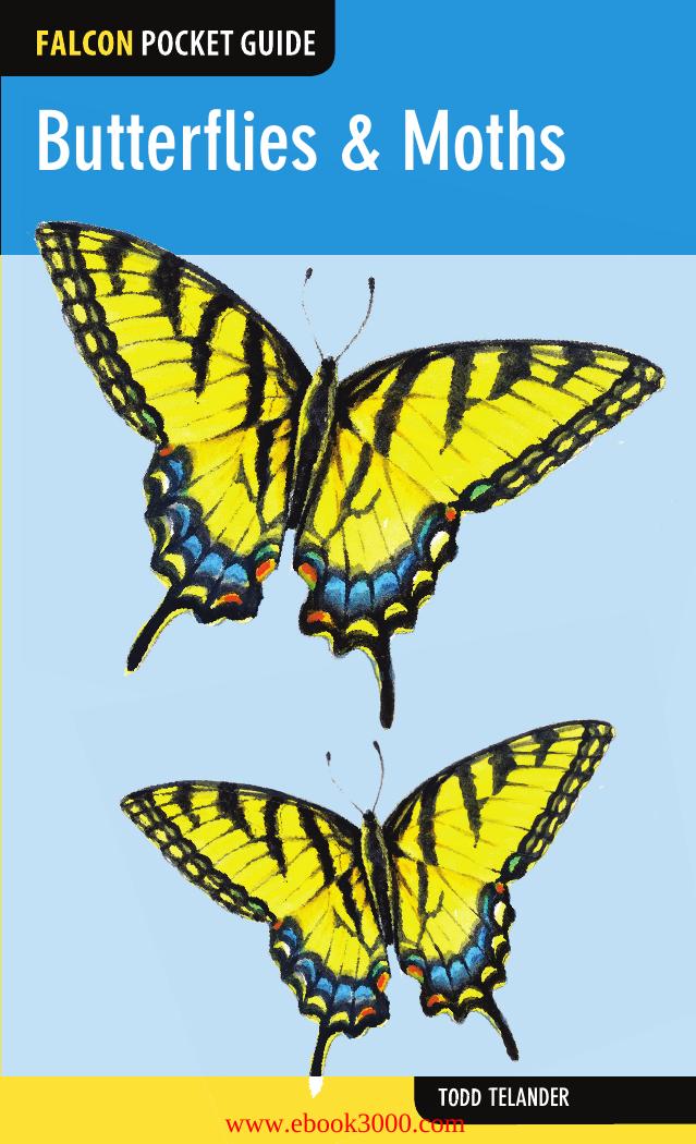 Falcon Pocket Guide: Butterflies & Moths by Unknow