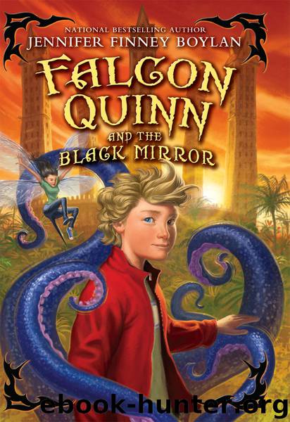 Falcon Quinn and the Black Mirror by Jennifer Finney Boylan