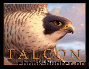 Falcon by Tim Jessell