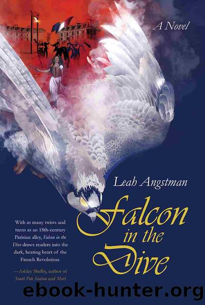 Falcon in the Dive by Leah Angstman