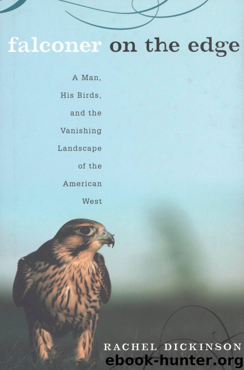 Falconer on the Edge by Rachel Dickinson