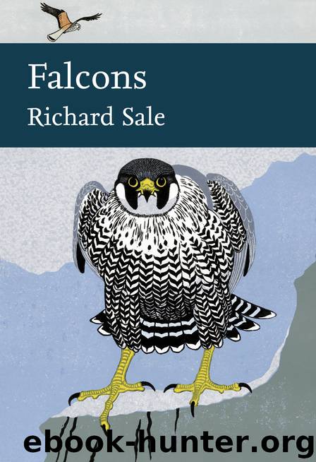 Falcons by Richard Sale
