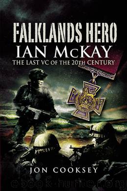 Falklands Hero by Jon Cooksey