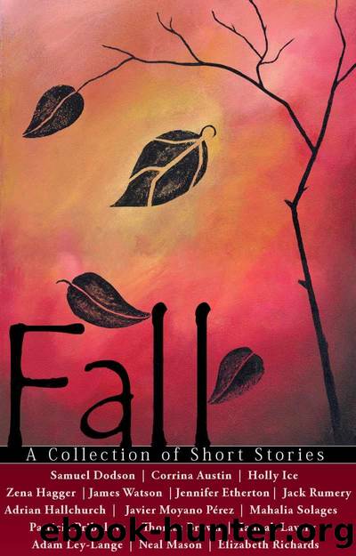 Fall - A Collection of Short Stories (Almond Press Short Story Contest) by unknow