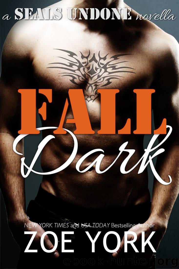 Fall Dark: Navy SEAL Adventure Romance (SEALs Undone Book 7) by Zoe York