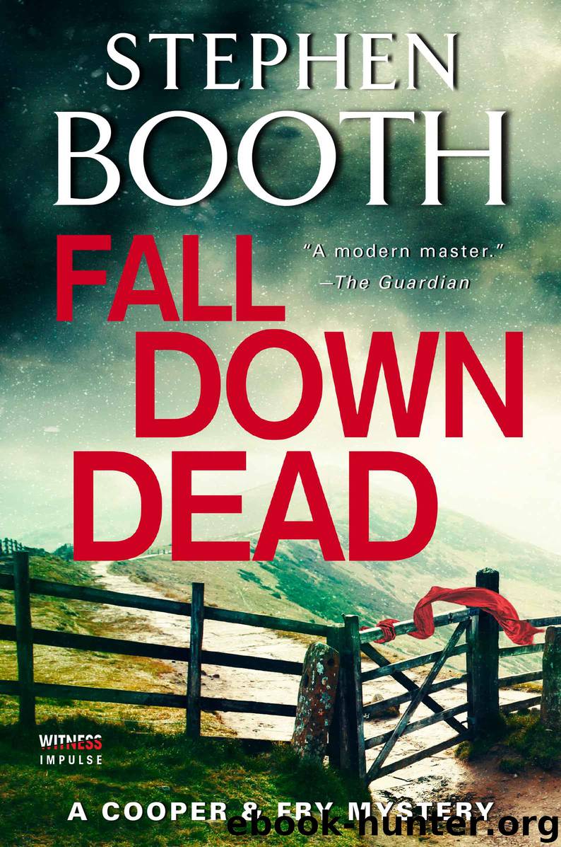Fall Down Dead by Stephen Booth
