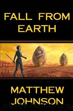 Fall From Earth by Matthew Johnson