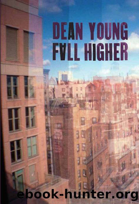 Fall Higher by Dean Young