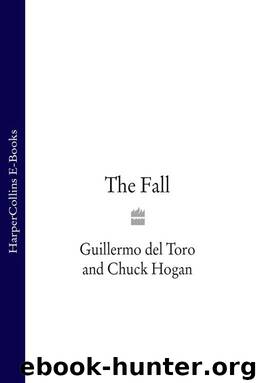 Fall by Toro Guillermo del