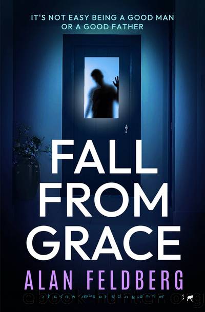 Fall from Grace by Alan Feldberg