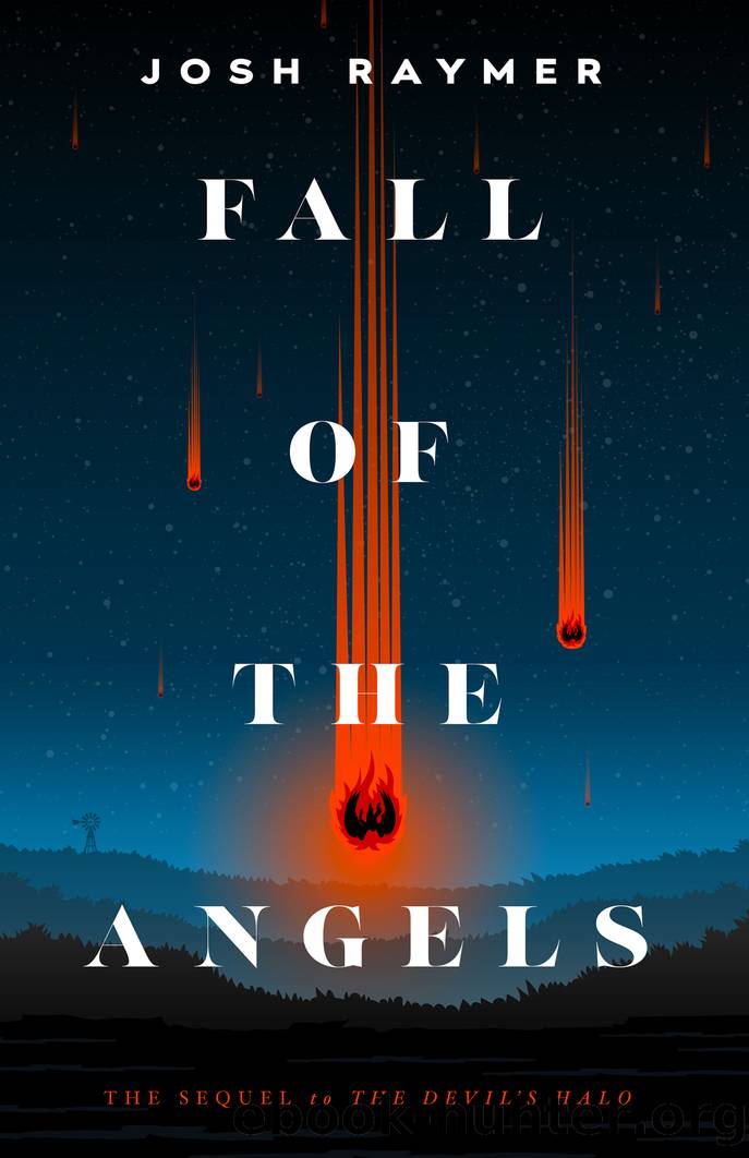 Fall of the Angels by Josh Raymer