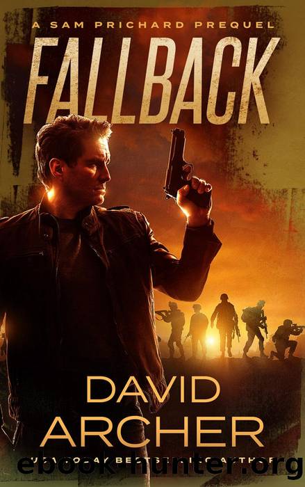 Fallback by David Archer