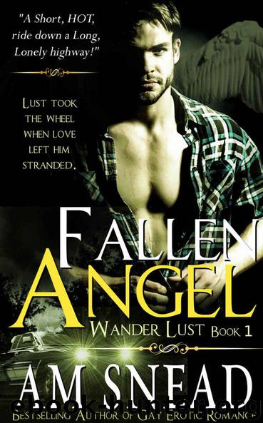 Fallen Angel (Wander Lust #1) by A.M. Snead