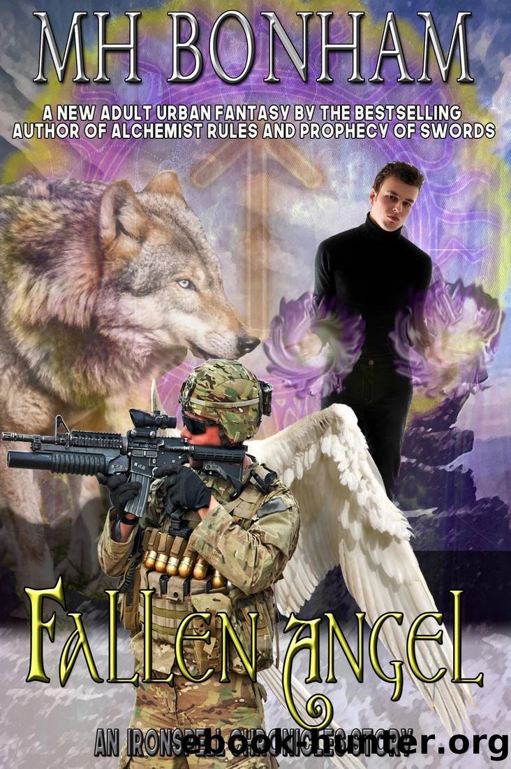 Fallen Angel by M. H. Bonham