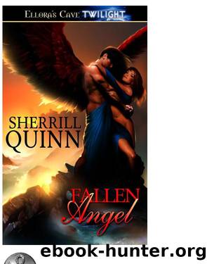 Fallen Angel by Sherrill Quinn