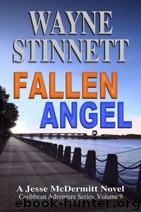 Fallen Angel by Wayne Stinnett