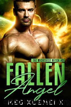 Fallen Angel_A Post-Apocalyptic Paranormal Romance by Meg Xuemei X