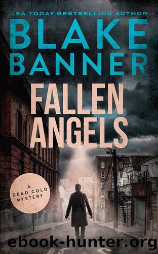 Fallen Angels by Blake Banner