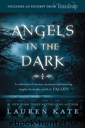 Fallen Angels in the Dark by Lauren Kate