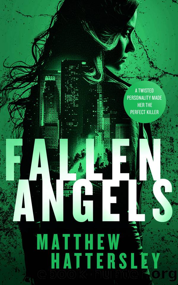 Fallen Angels: A white-hot page-turning assassination thriller by Matthew Hattersley