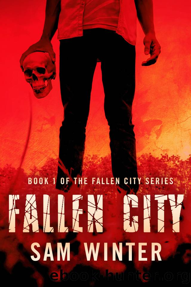 Fallen City: A Post-Apocalypse Novel by Winter Sam